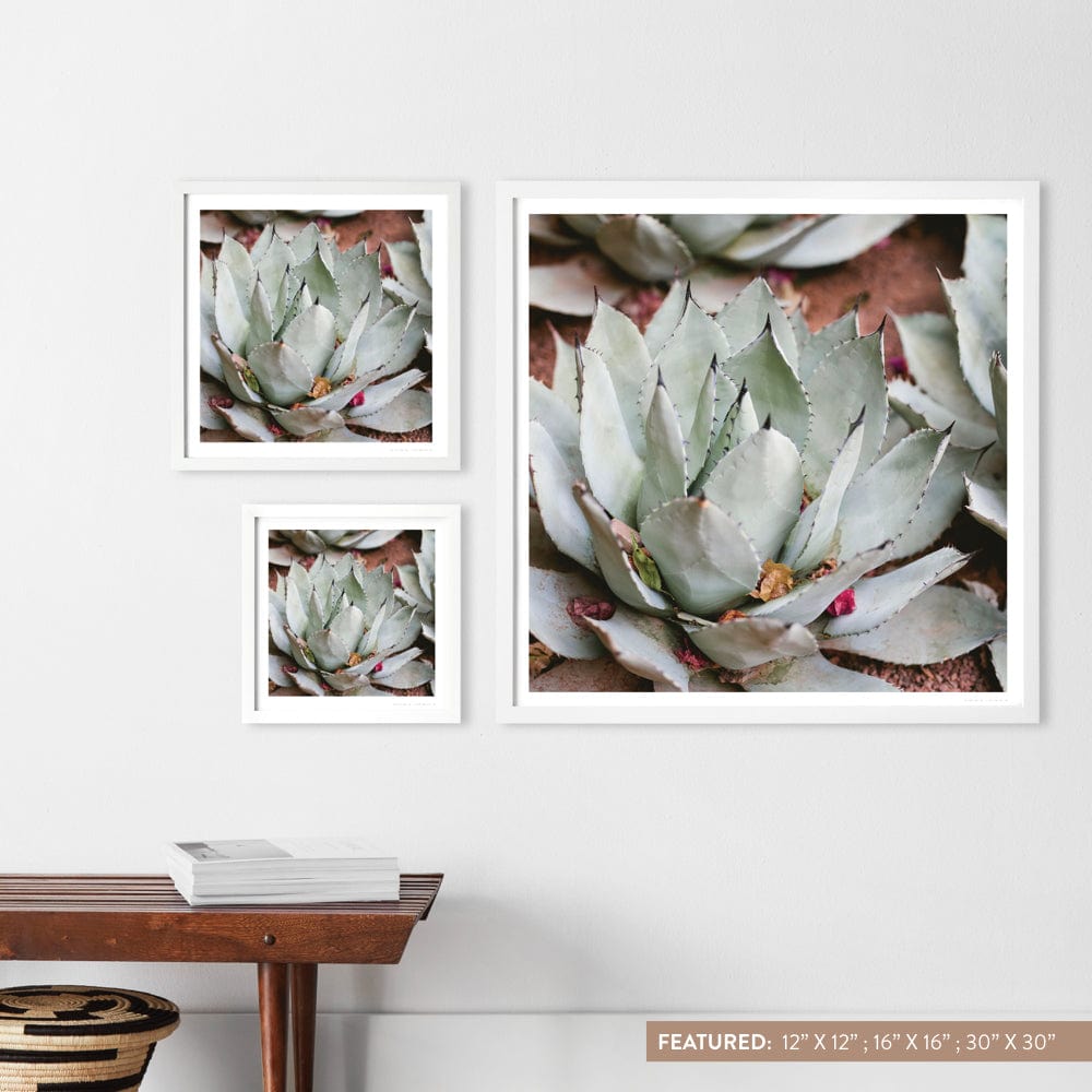 Premium Fine Art Prints for Home & Office Decor - Jardin Collection | Wall Art for Living Room, Bedroom & Gallery Displays