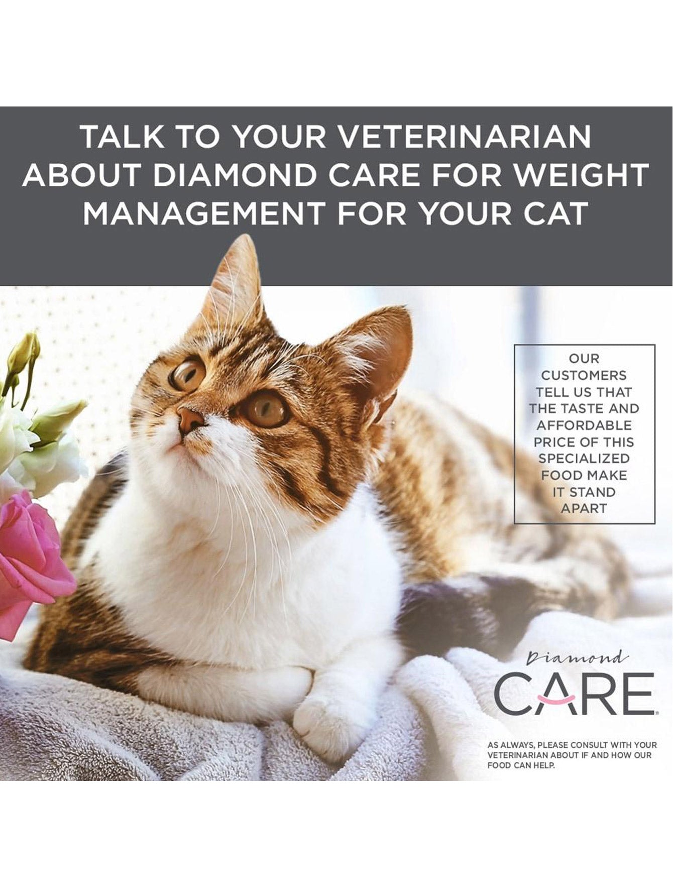Premium Diamond Care Weight Management Formula for Adult Cats - 6lb Bag - Healthy Weight Control Cat Food for Indoor & Overweight Cats - Perfect for Portion Control & Balanced Nutrition