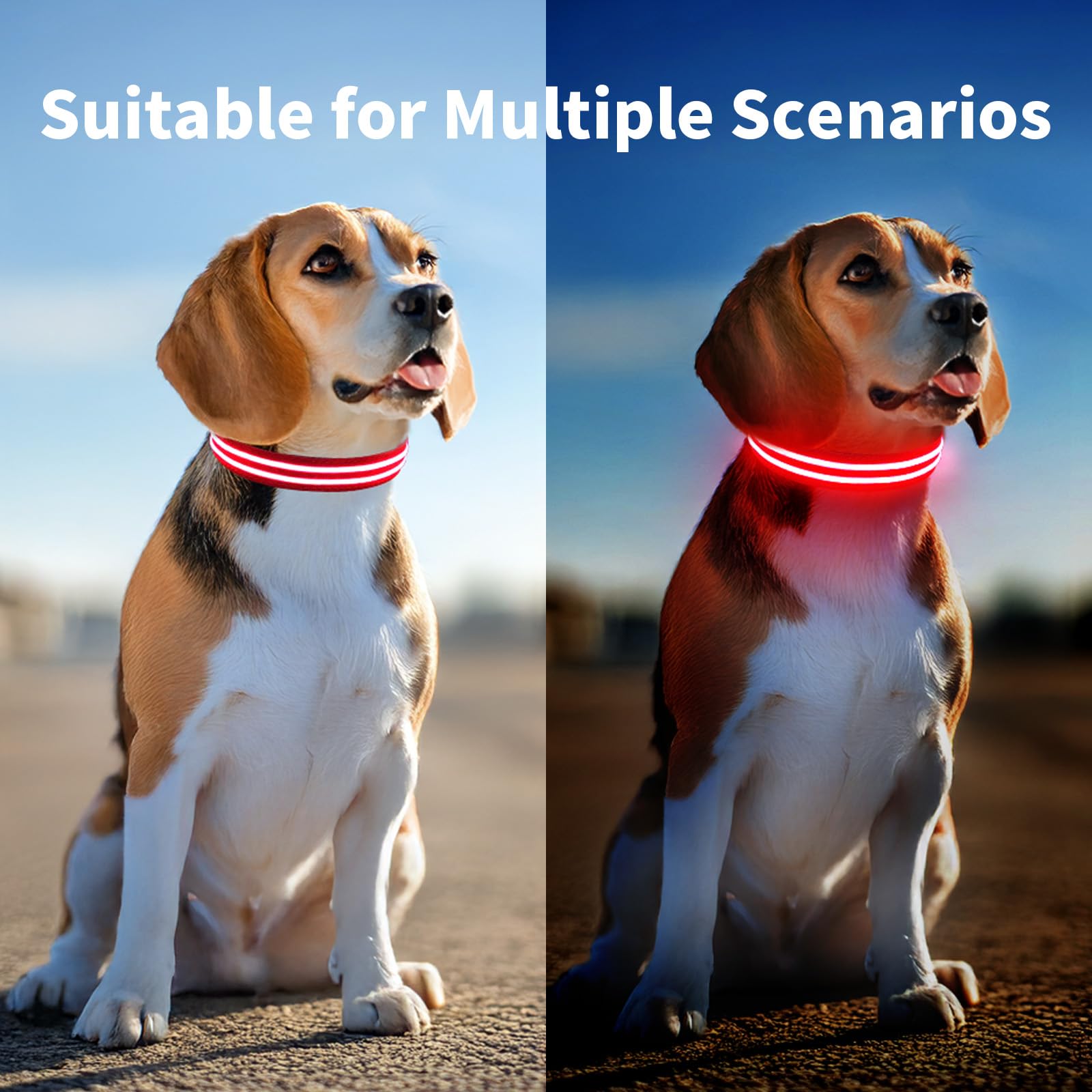 Rechargeable LED Dog Collar - Waterproof & Glow in The Dark Safety Collar for Small, Medium & Large Dogs - Perfect for Night Walks, Jogging & Outdoor Adventures