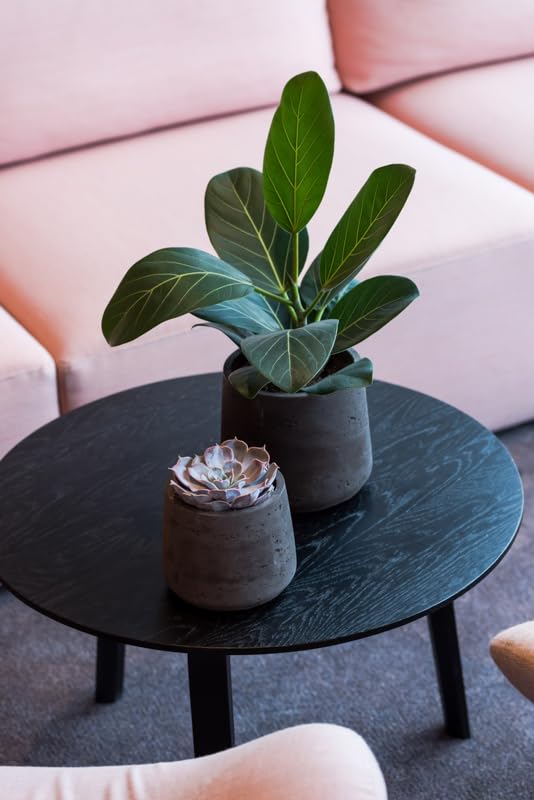 Black Washed Fiberstone Planter - 8