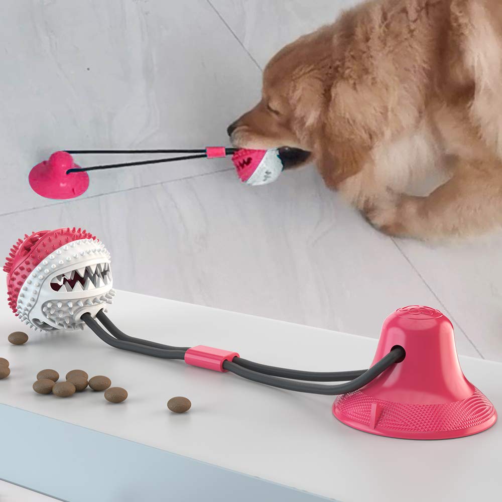 **Durable Dog Chew Toys with Suction Cup - Interactive IQ Treat Dispenser Ball for Teeth Cleaning & Mental Stimulation - Red & White Chewable Molar Food Leakage Device (Perfect for Bath Time, Crate Training & Playtime)**