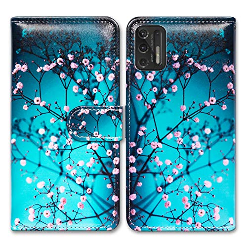 Plum Blossom