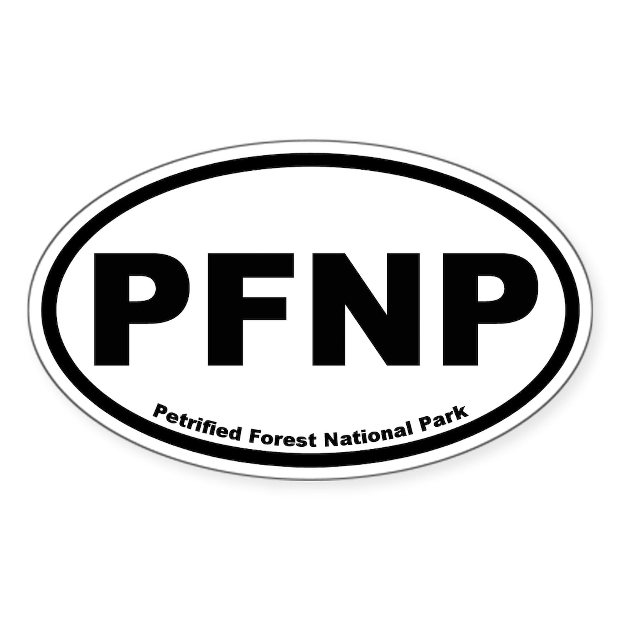 Petrified Forest National Park Oval Car Bumper Sticker - Durable Vinyl Decal for Cars, Laptops & Water Bottles - Perfect for Outdoor Enthusiasts & Nature Lovers