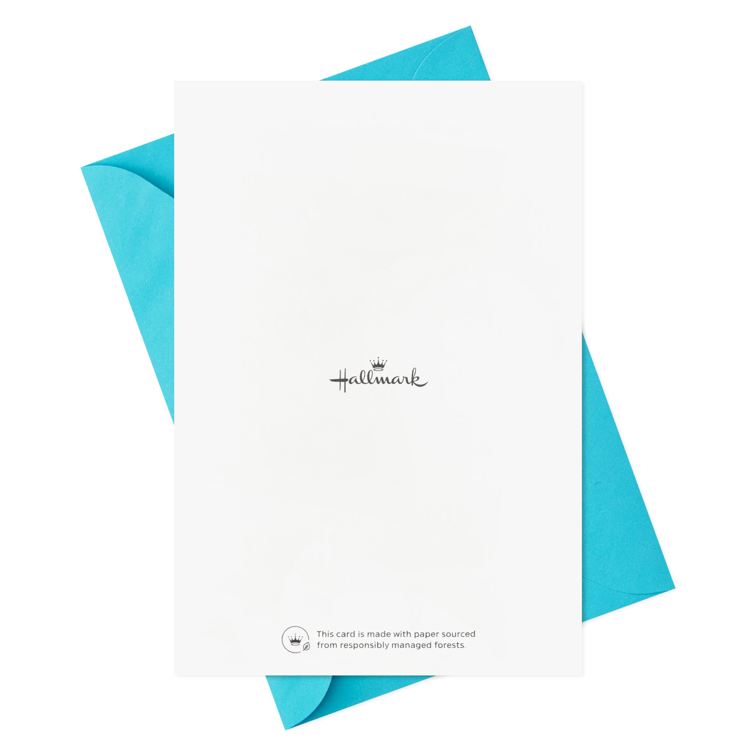 Hallmark Birthday Cards Assortment - 36 Premium Greeting Cards with Envelopes for All Occasions | Perfect for Parties, Celebrations & Special Events
