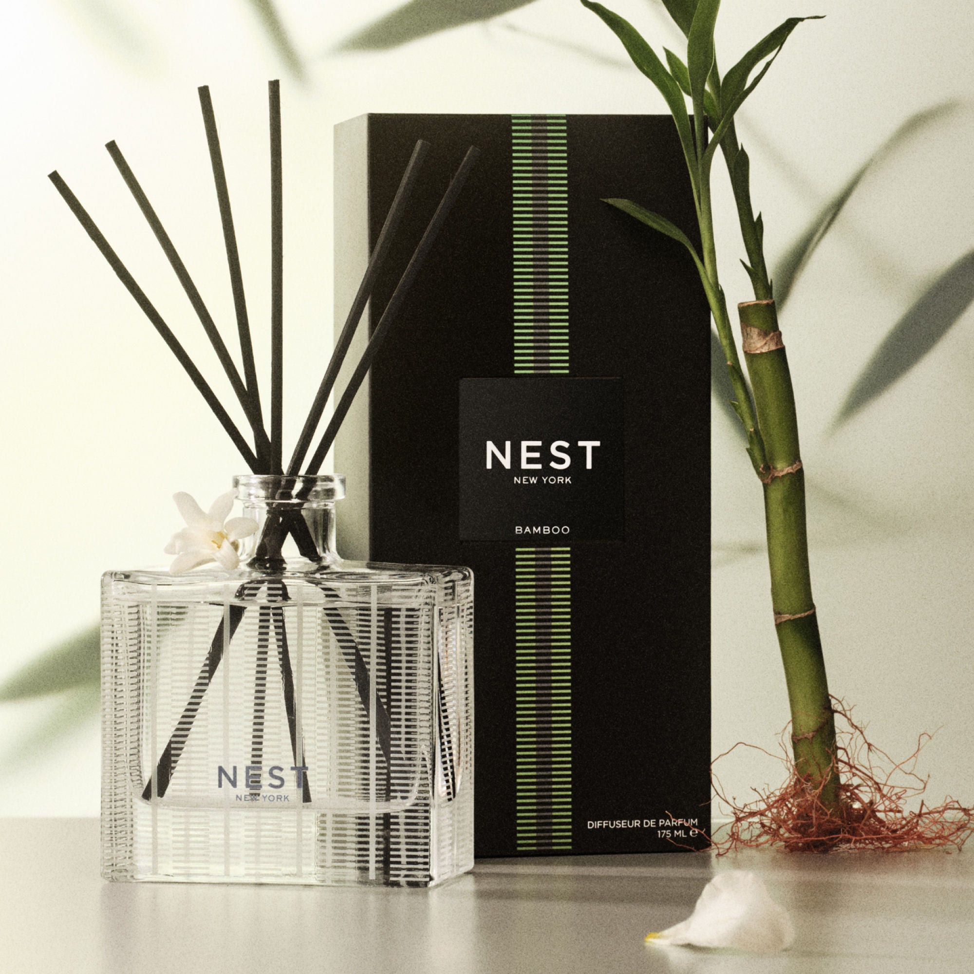 Premium Bamboo Reed Diffuser Set - Natural Home Fragrance Oil Diffuser with 6 Rattan Reeds - Aromatherapy Gift for Living Room, Bedroom & Office