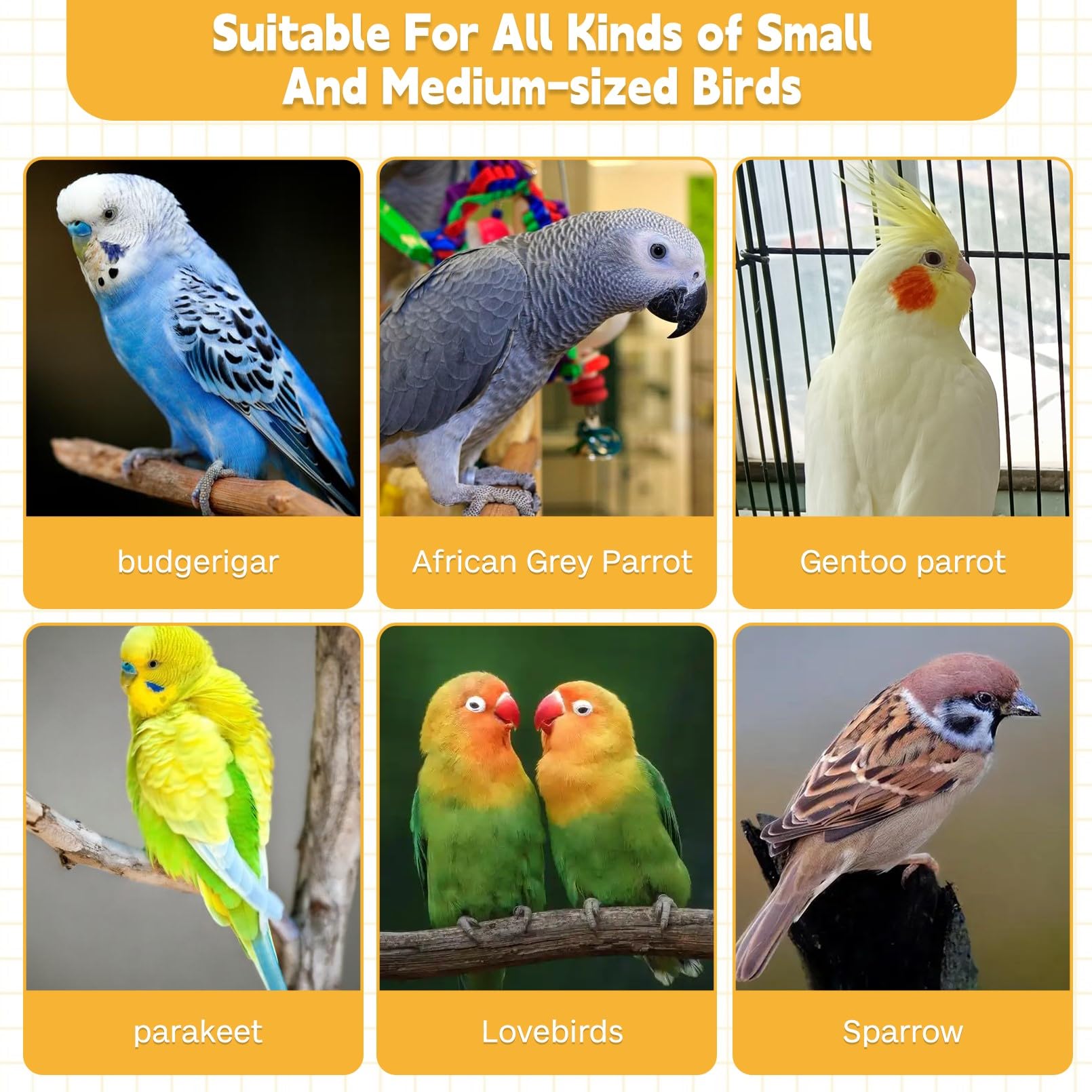 2 PCS Bird Chew Toys for Parrots, Conures, Cockatiels & Budgies - Mineral Lava Blocks & Cuttlebone Beak Stone for Beak Trimming & Play - Perfect for African Gray, Parakeets & Small Birds - Cage Accessories for Mental Stimulation & Healthy Beak Care