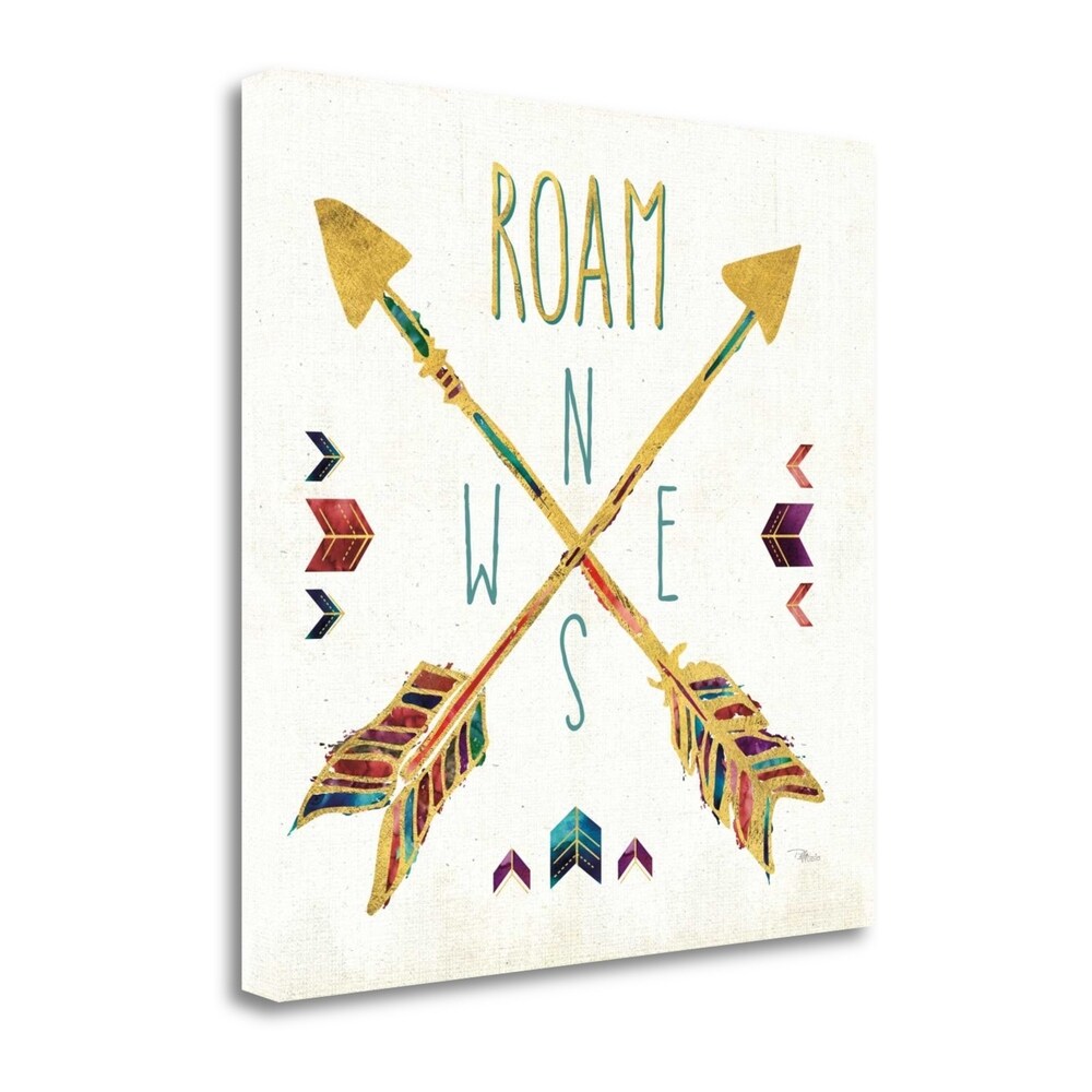 Beautiful Arrows VI Fine Art Giclee Print by Pela Studio - Gallery Wrapped Canvas Wall Art Ready to Hang - Perfect for Living Room, Bedroom & Office Decor