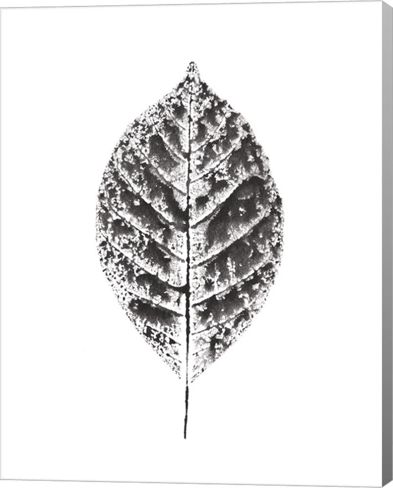 Harvest Sentiments Black and White Canvas Art by Moira Hershey - 6x8 Inch Gallery Wrapped Wall Decor for Living Room, Bedroom & Office