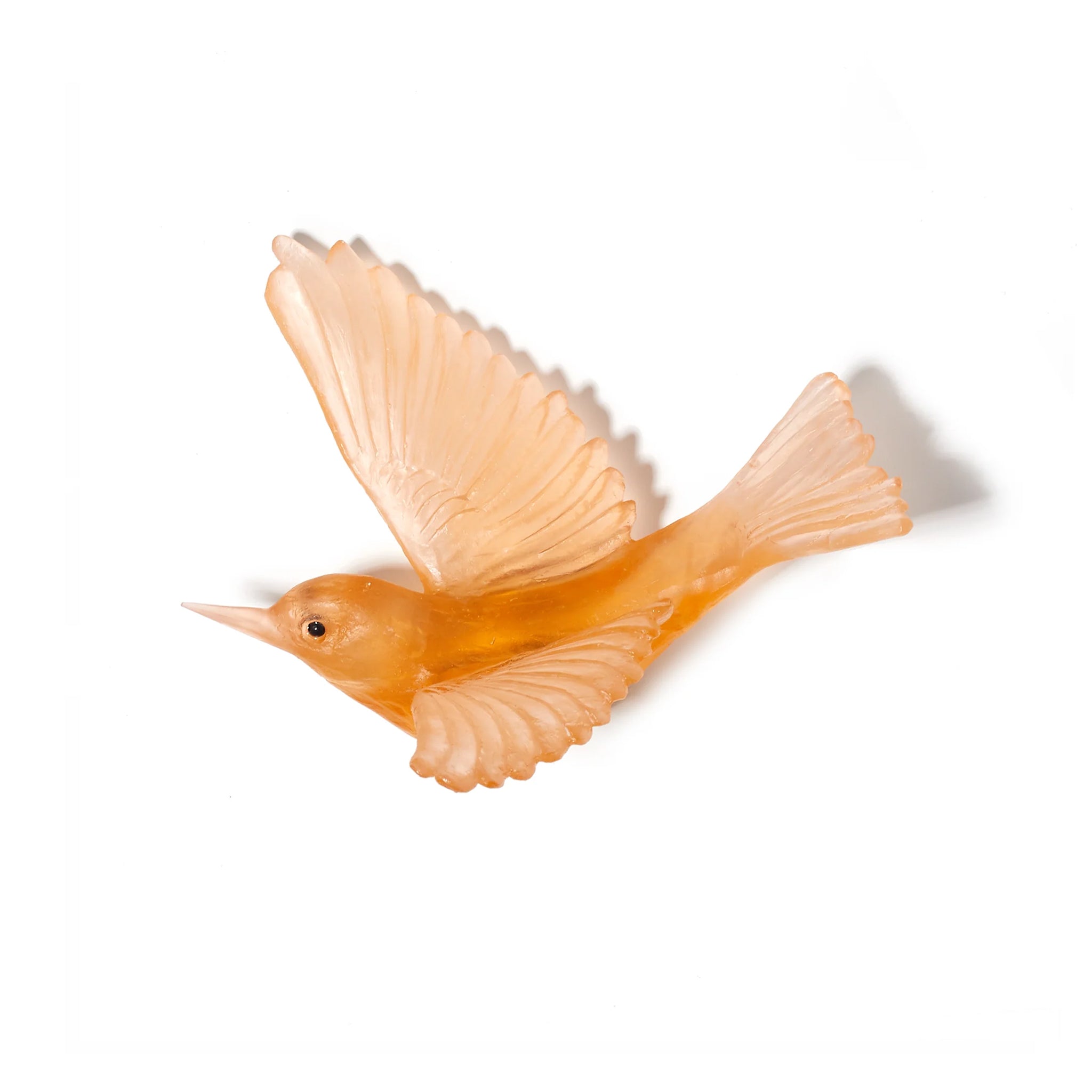 Apricot