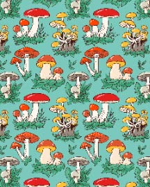 A Mushroom Collections