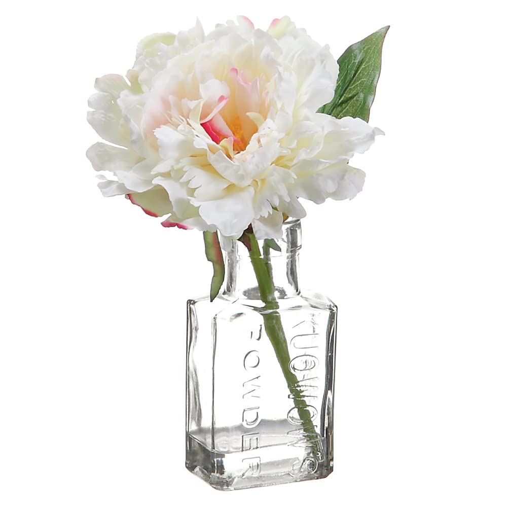 12 Pack 8 Inch Peony in Glass Vase - Cream Rubrum Artificial Flowers for Home Decor, Wedding Centerpieces & Table Arrangements