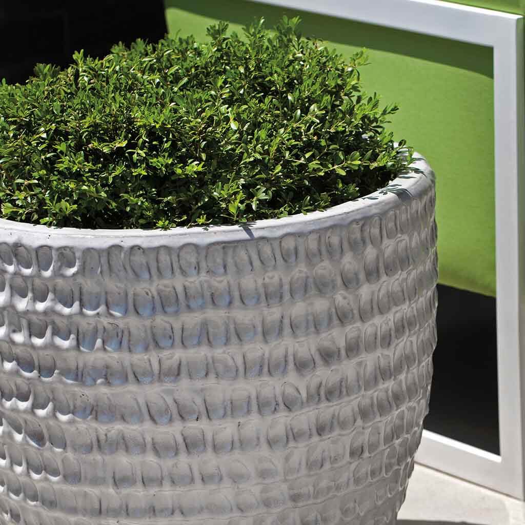 Campania International Antique White Dimple Planter Set of 3 - Elegant Flower Pots for Indoor Plants, Outdoor Garden Decor, and Patio Container Gardening
