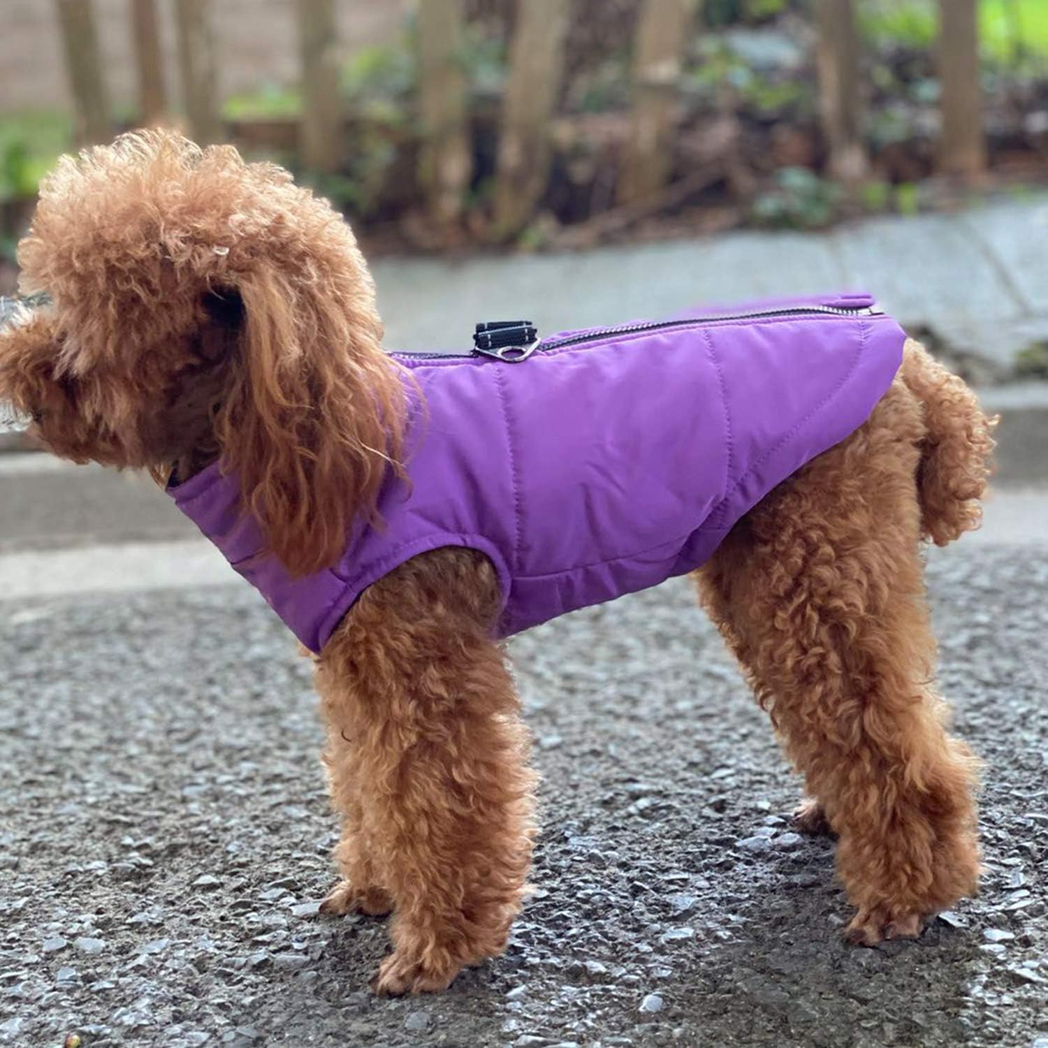 Waterproof Ultra Warm Dog Winter Vest with Cotton Lining - Windproof Zippered Jacket for Small, Medium & Large Dogs | Breathable Soft Dog Coat for Cold Weather Outdoor Activities (Purple, XXXL)