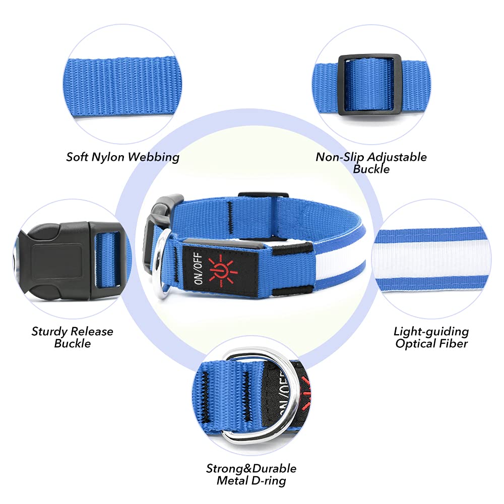 BSEEN Rechargeable LED Dog Collar - Waterproof Reflective Glow in The Dark Collar for Small Dogs, Night Safety Walking Gear with Bright Royal Blue Light - Perfect for Evening Walks, Jogging & Outdoor Adventures