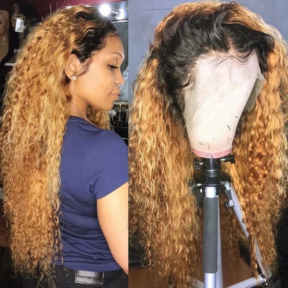 13x6 HD Transparent Lace Front Human Hair Wig - Honey Blonde Ombre Brazilian Remy Hair for Black Women | Curly Glueless Wig with Pre-Plucked Natural Hairline & Baby Hair | 150% Density 16 Inch | Perfect for Daily Wear, Parties & Special Occasions
