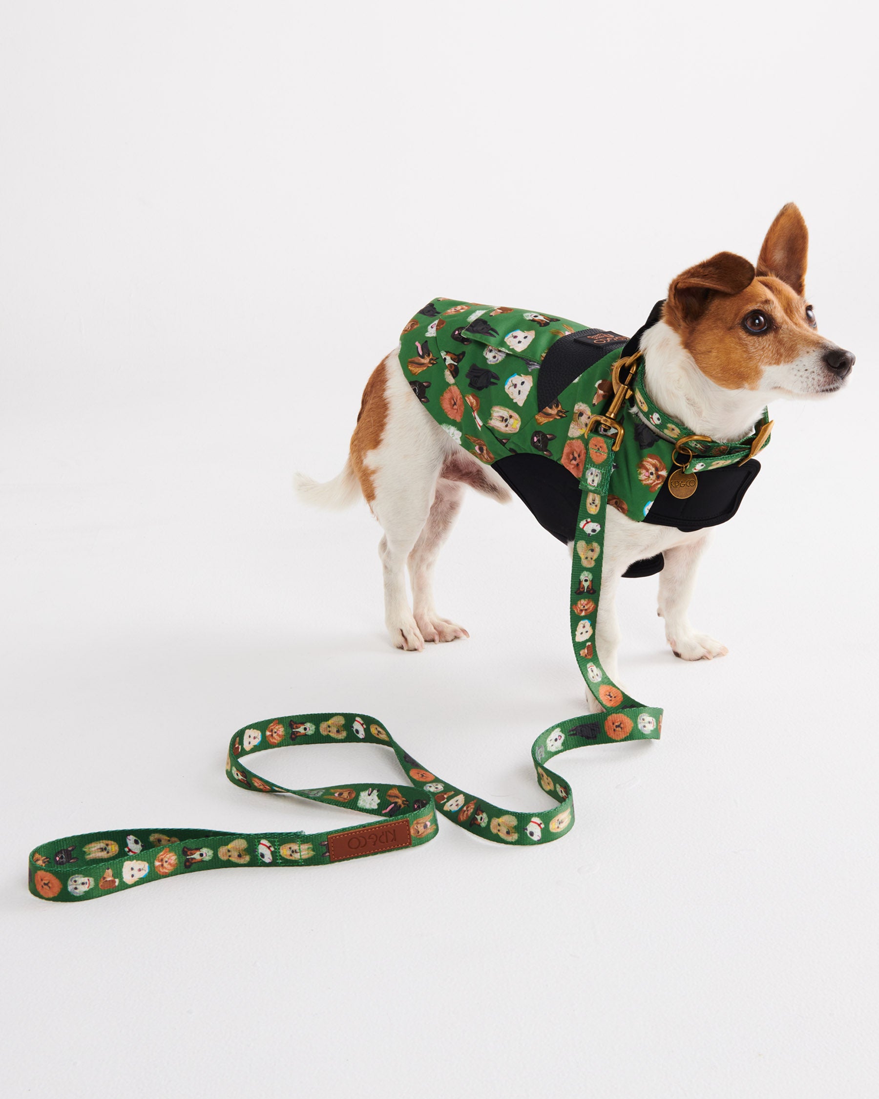 Premium Dog Leash for Dog Parks - Heavy Duty & Reflective - Perfect for Active Dogs, Training & Outdoor Adventures