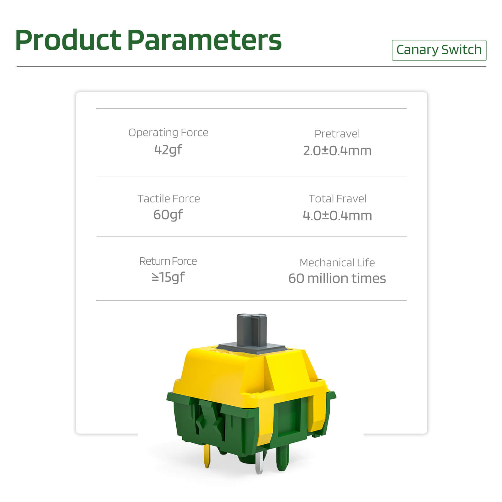 RK x LTC Kailh Canary Switches for Mechanical Keyboard DIY - 30 PCS Tactile Switches (US Shipping) - Perfect for Gaming, Typing & Custom Keyboard Builds