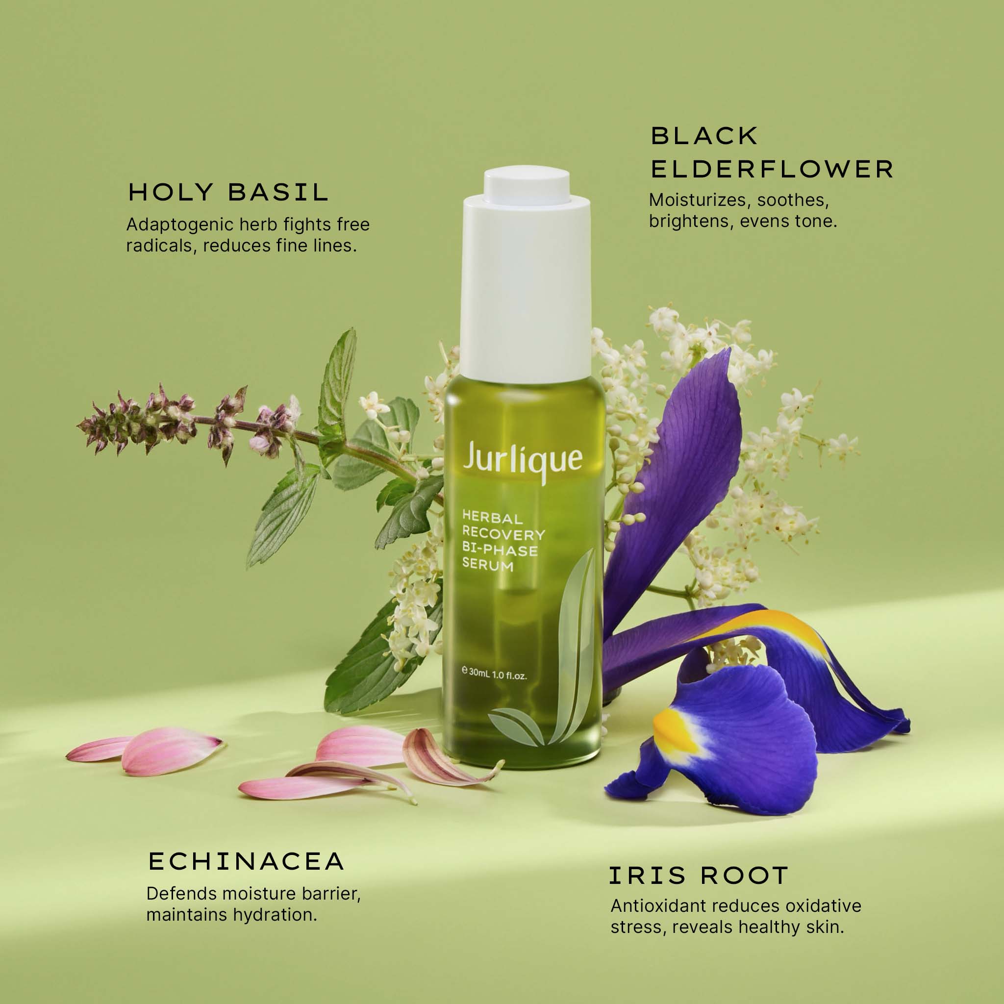 Herbal Recovery Bi-Phase Serum for Anti-Aging & Skin Rejuvenation | Hydrating Facial Treatment for Dry & Sensitive Skin | Day & Night Use