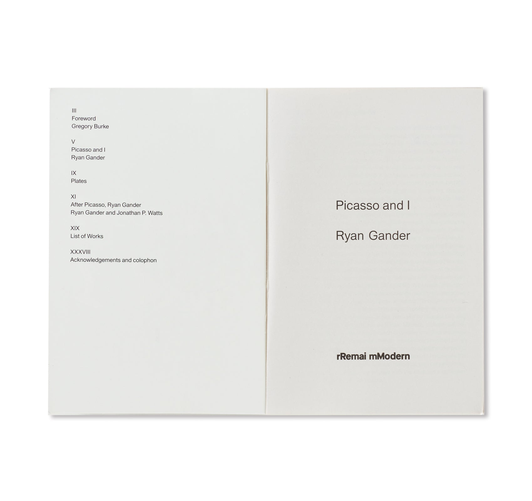 Picasso and I by Ryan Gander - Contemporary Art Book - Perfect for Art Lovers, Collectors & Museum Gift Shops