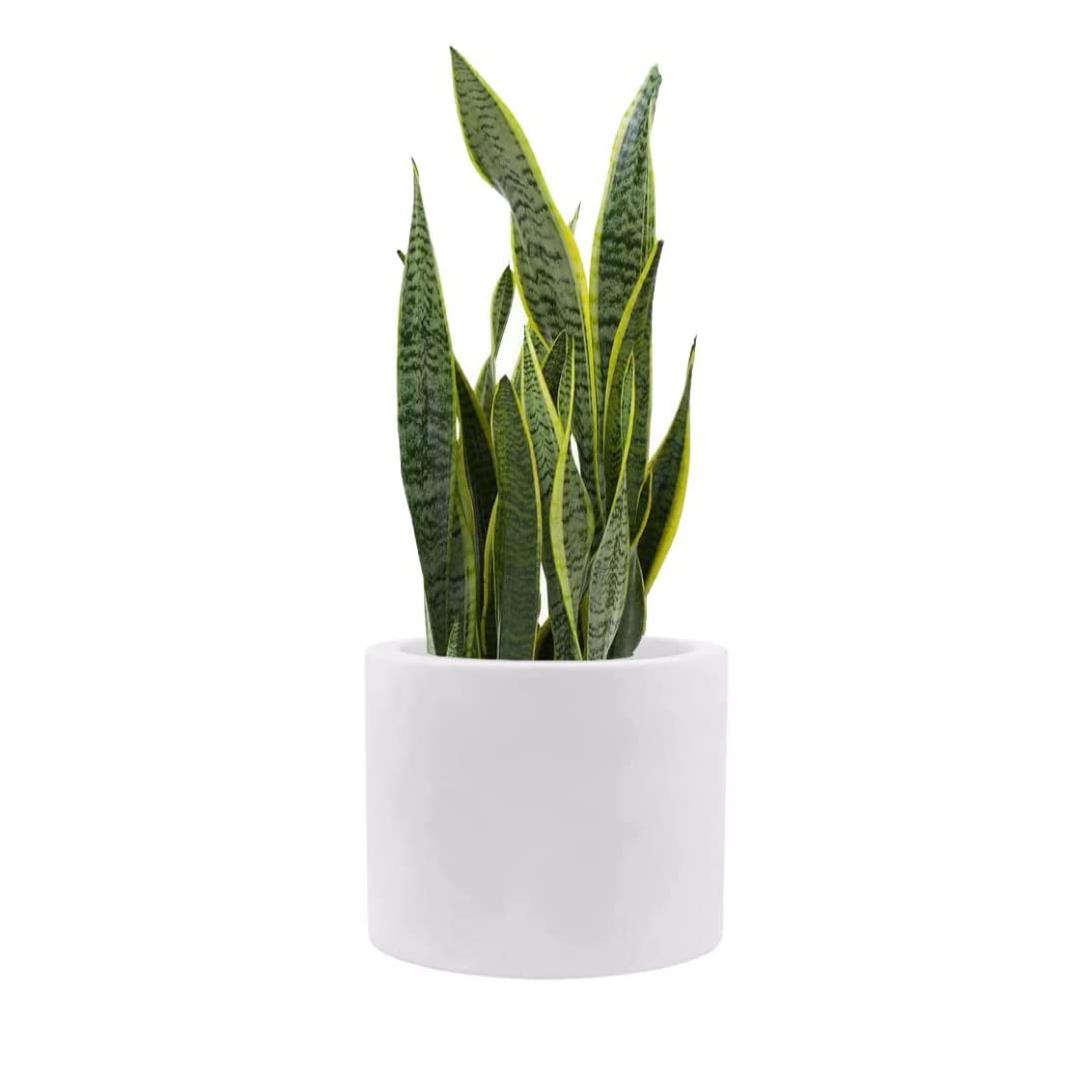 Elly Décor White Plastic Cylinder Planter 11x14 Inch - Modern Round Flower Pot for Indoor & Outdoor Plants - Perfect for Home Decor, Office, Garden, and Patio