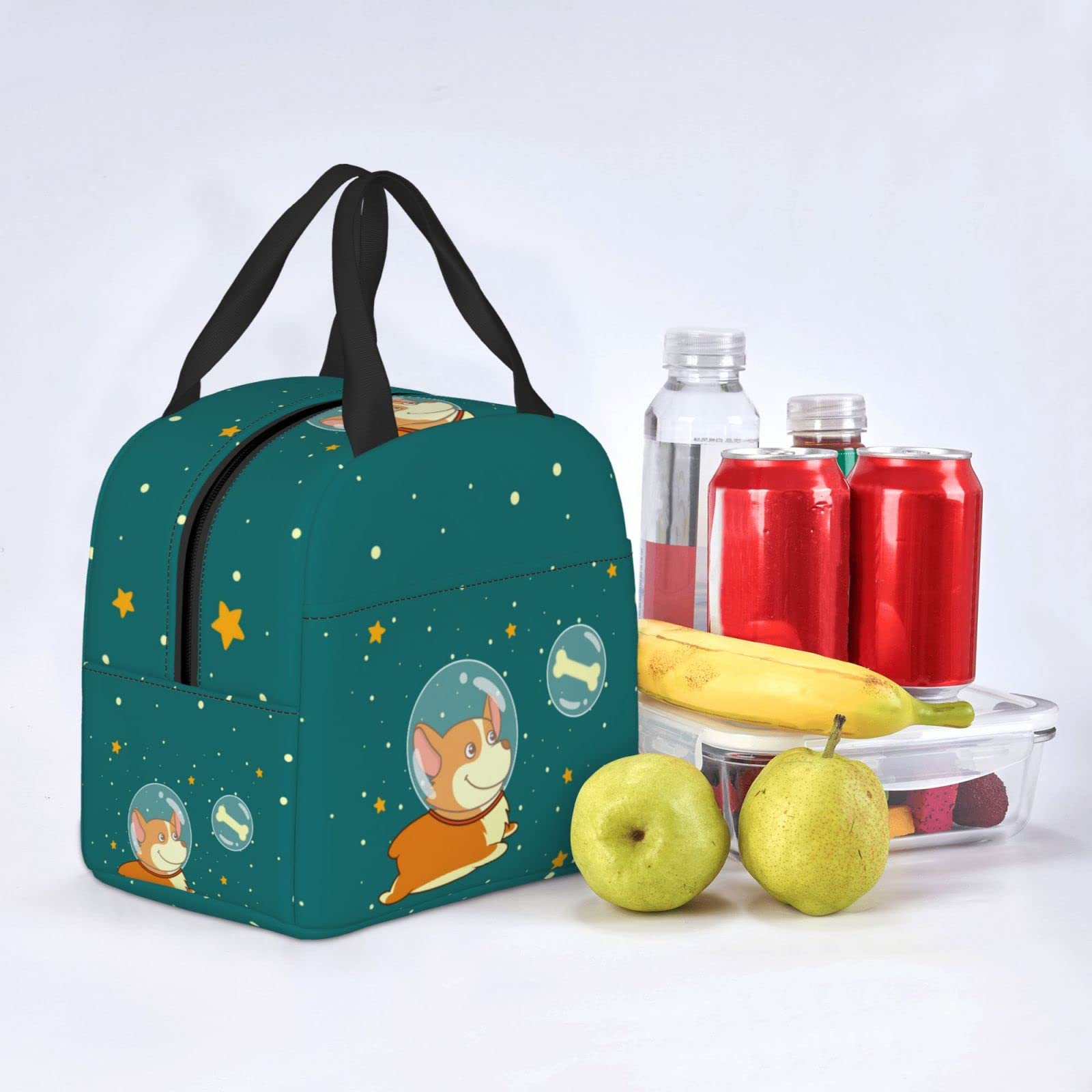 Cute Smiling Dog Insulated Lunch Box - Reusable & Portable Meal Bag for School, Work, Travel & Picnic | Perfect for Teens, Boys & Girls | Keep Food Fresh All Day