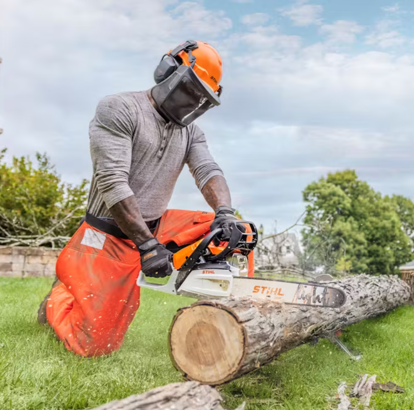 STIHL MS 162 Gas Chainsaw - 18 Inch Lightweight Gas-Powered Chainsaw for Wood Cutting, Tree Trimming & Firewood - Perfect for Homeowners & Landscaping Professionals