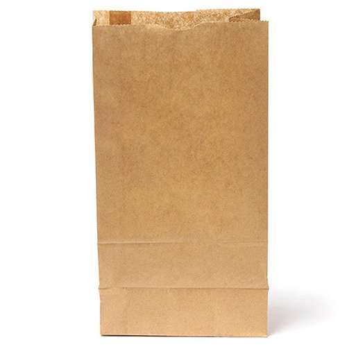 10Pcs Brown Kraft Paper Bags - Eco-Friendly Small Gift Bags for Party Favors, Wedding, Bread & Food Packaging | Perfect for Gift Wrapping, Bakery Storage & Party Decorations