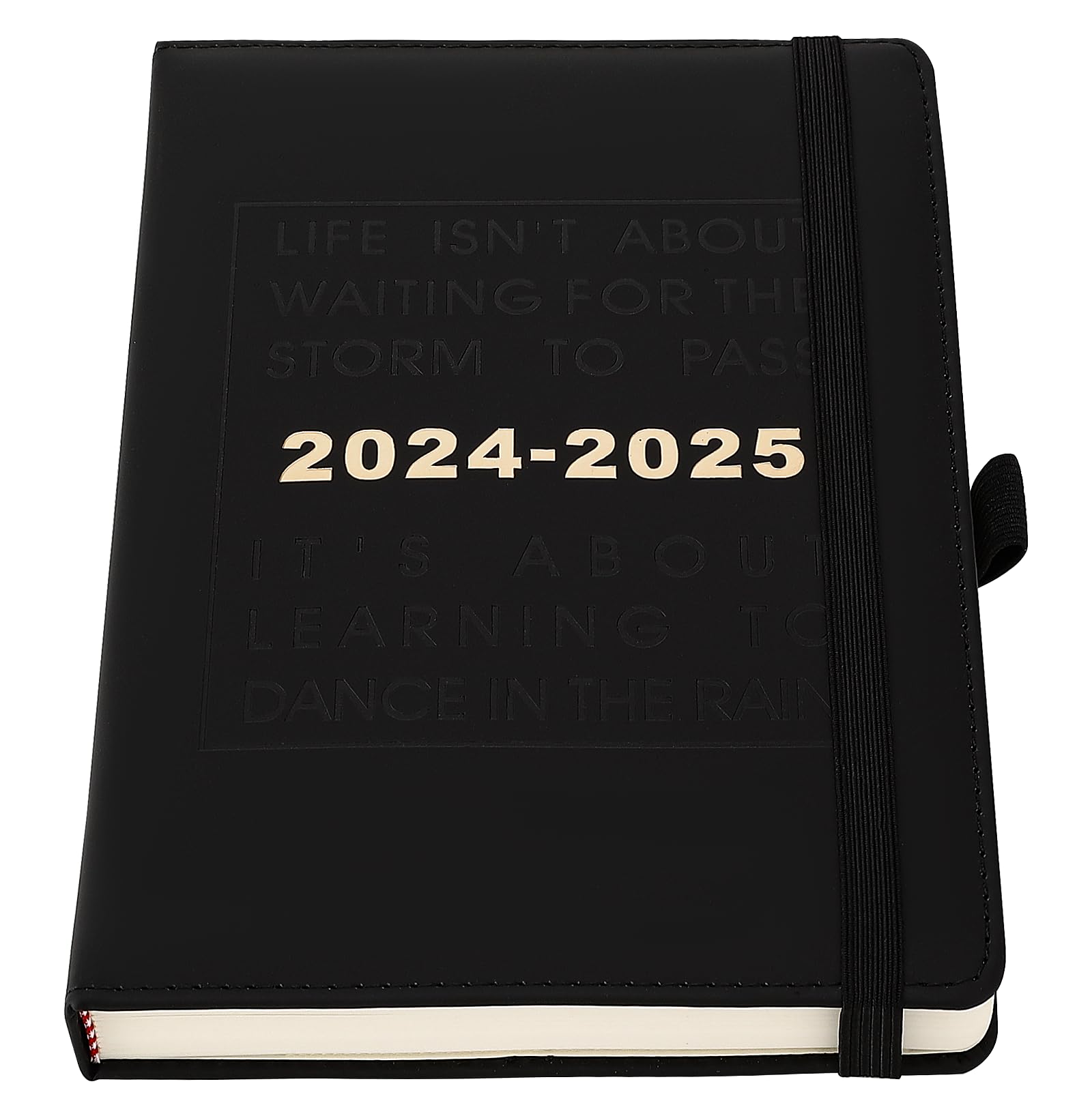 2024-2025 Academic Planner - 25 Pages Per Day, Week-to-View (July 2024-June 2025) with Pen Holder & Monthly Tabs - Perfect for Students & Professionals (Black)