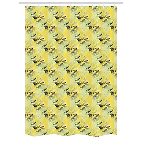Yellow and Multicolor