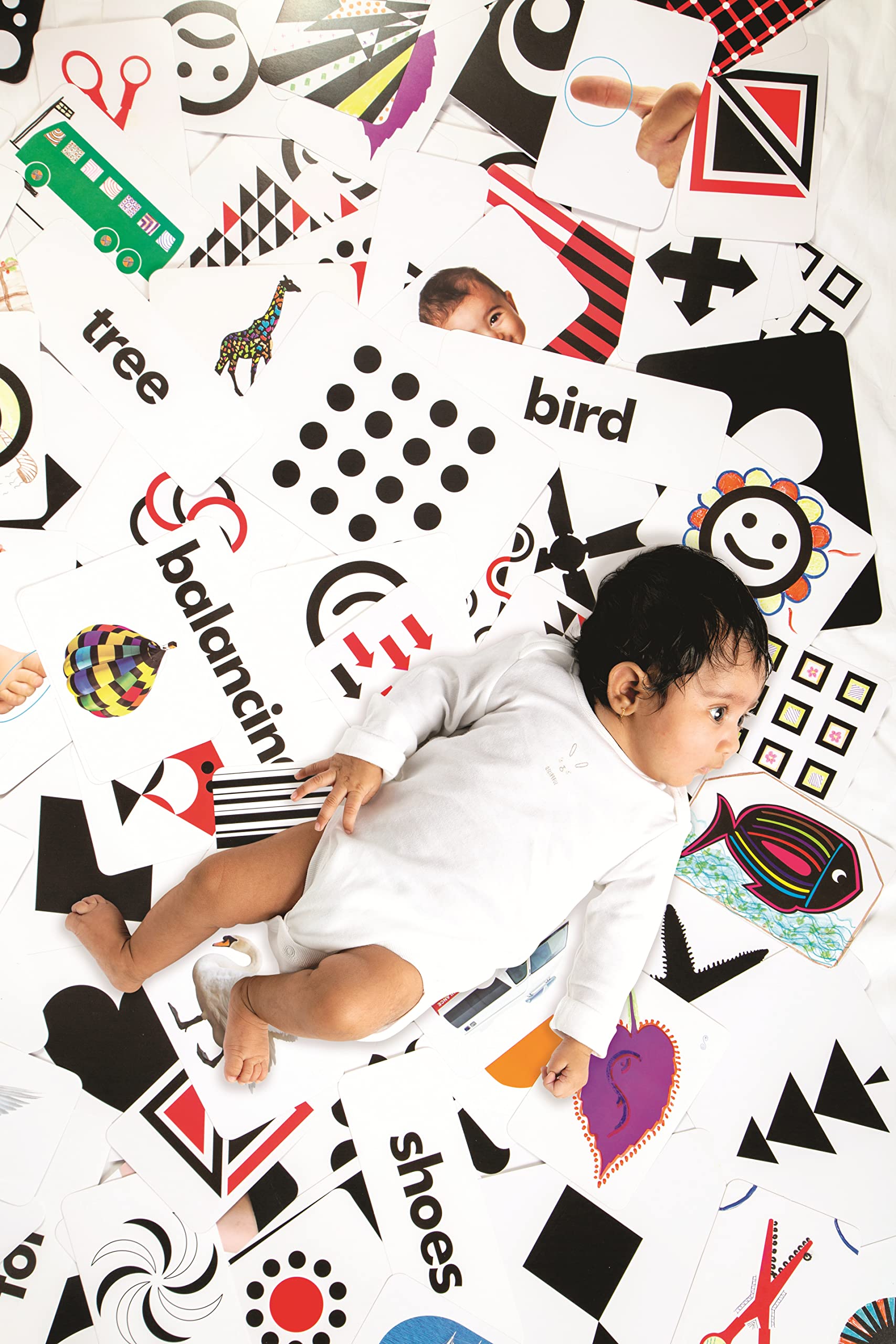 Hungry Brain 1 Year Program for Newborn Babies - 240 Black & White Learning Flash Cards, 120 Word Cards, 128 Thinking Stimulation Cards, 4 Story Books - Visual Stimulation & Early Education for Toddlers - Perfect for Baby Shower Gifts & Montessori Learning at Home