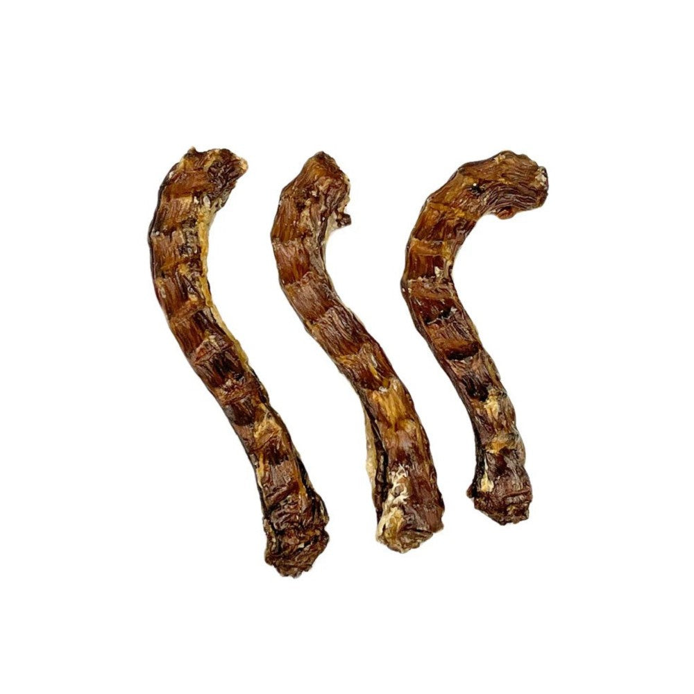 Premium Duck Neck Dog Treats - All-Natural, Grain-Free Chews for Dogs - High-Protein Dental Snacks for Puppies & Adult Dogs - Great for Training, Teething & Oral Health