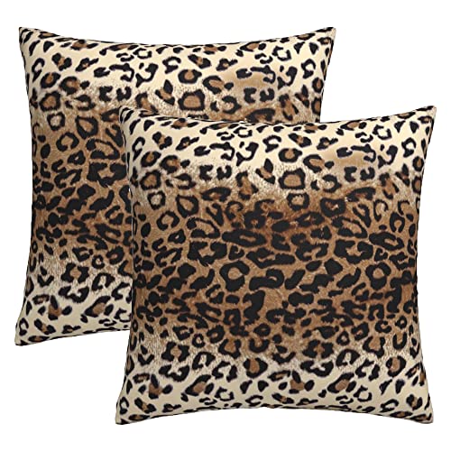 Leopard Brown