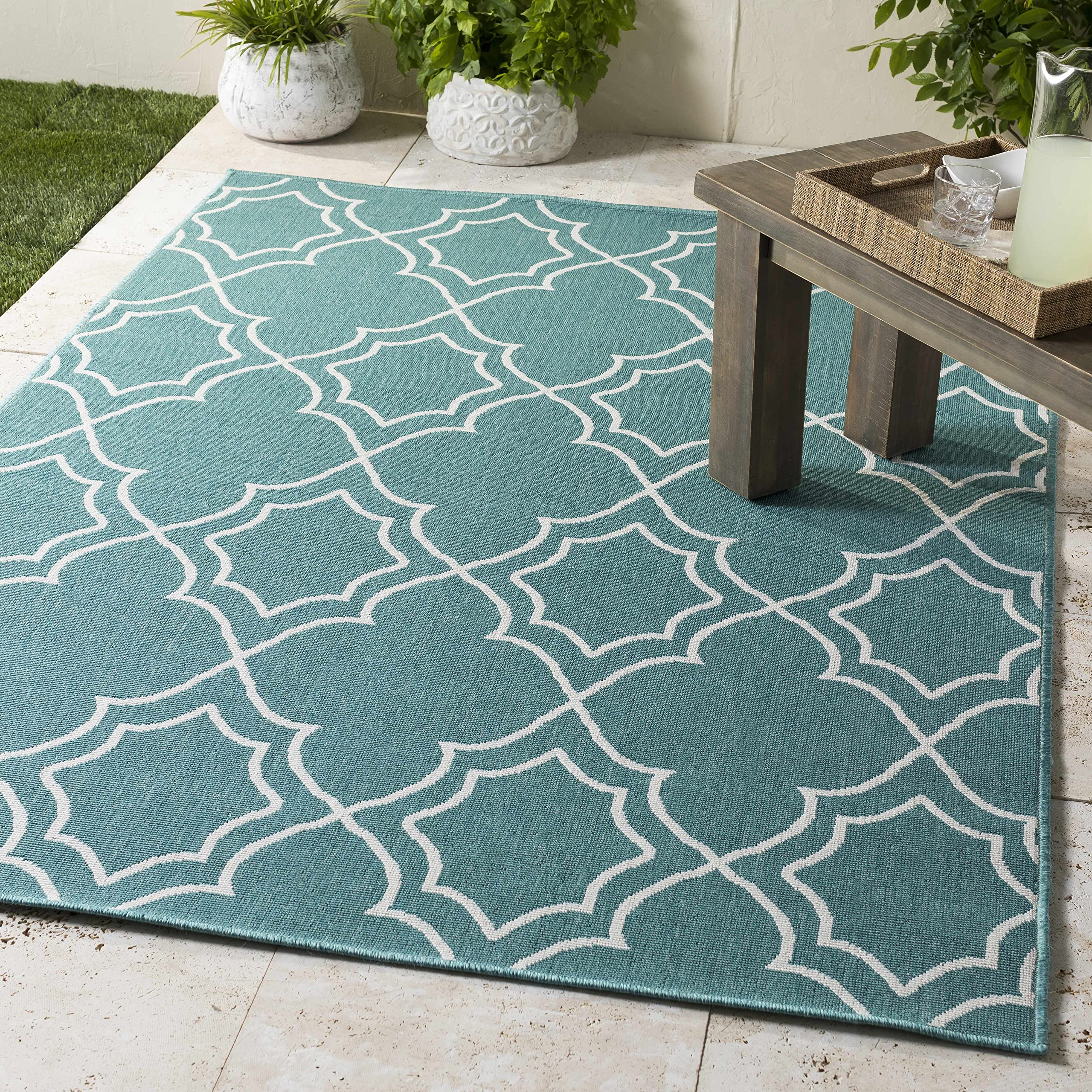 Hauteloom Folsom Indoor Outdoor Area Rug - Green & White Round 8'10