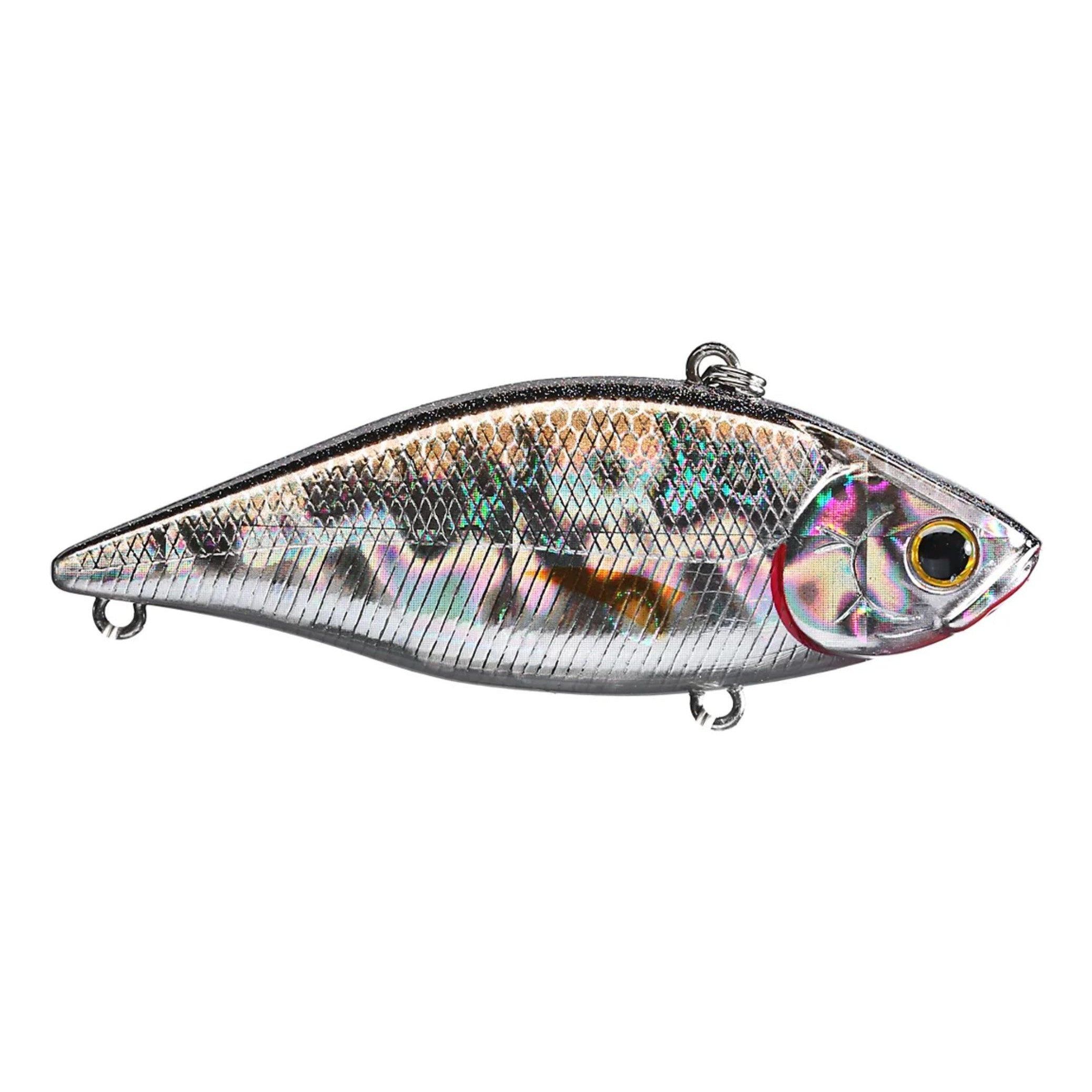 Aurora Craw