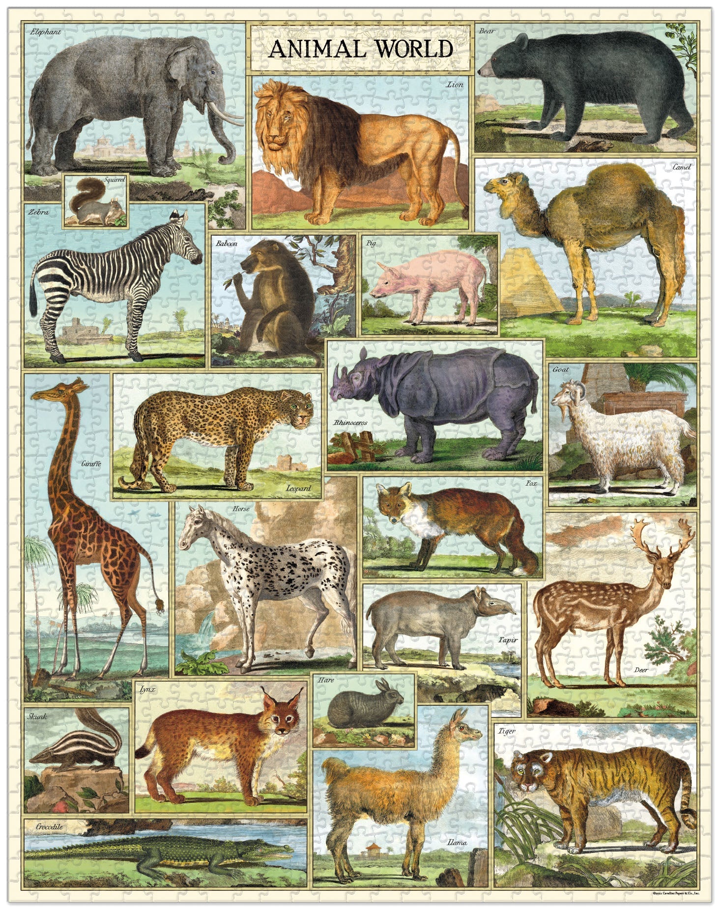 Animal World 1000 Piece Jigsaw Puzzle - Fun Family Game & Educational Activity for Kids & Adults - Perfect for Home Decor, Birthday Gifts & Relaxation