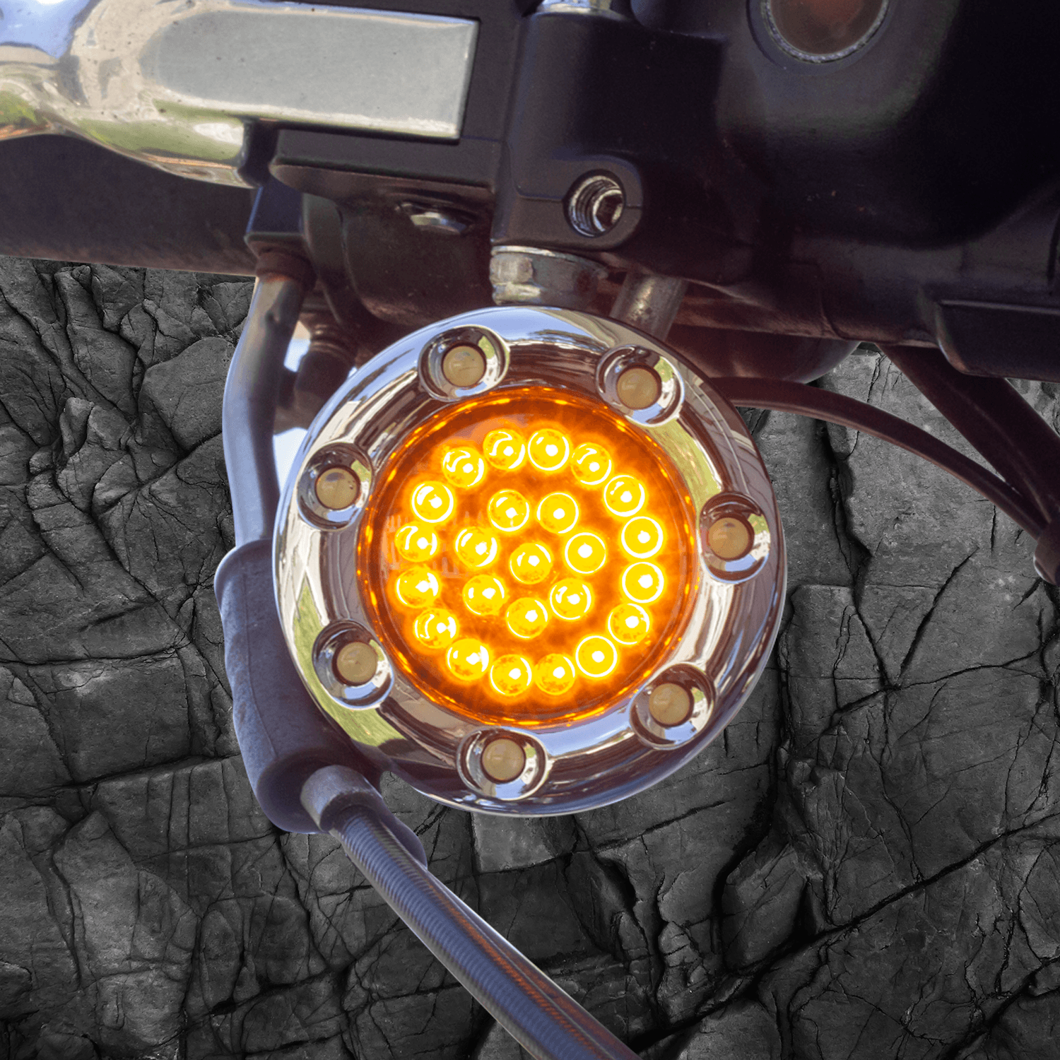 Eagle Lights 2