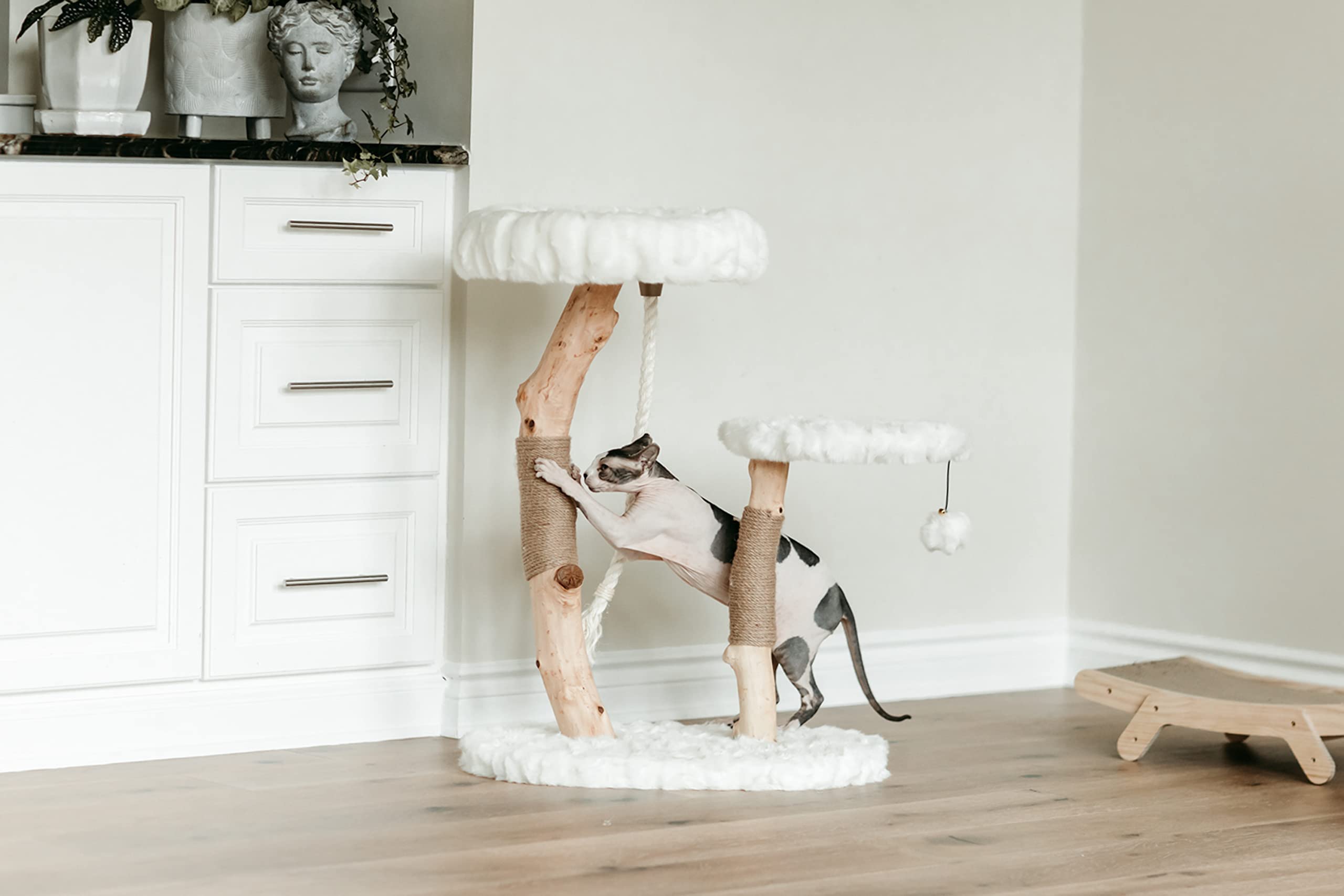 Luxury Modern Cat Tree & Wood Cat Tower - Natural Branch Scratching Post & Cat Condo | Premium Cat Furniture for Indoor Cats | Perfect for Apartments & Home Decor