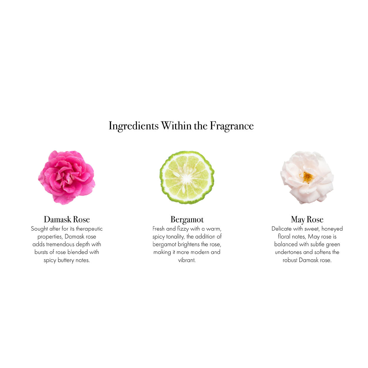 Blush Rose Reed Diffuser - Elegant Home Fragrance Oil Diffuser with Natural Rattan Reeds | Perfect for Living Room, Bedroom & Bathroom Aromatherapy