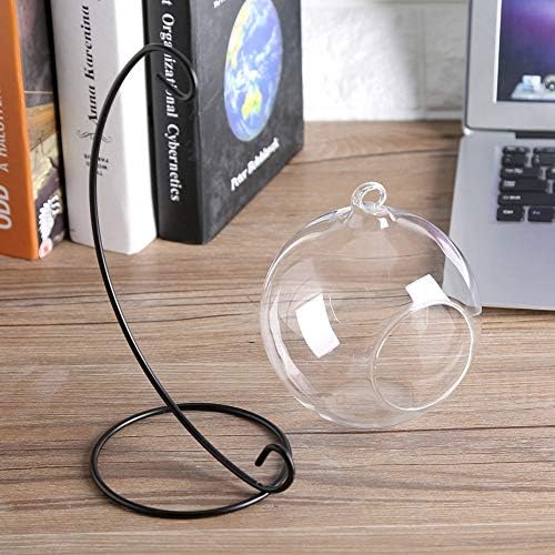 Large Hanging Glass Air Plant Terrarium - Succulent Planter Globe with Micro Landscape Display for Home, Office Decor | Perfect for Tabletop, Shelf, or Wall Decoration