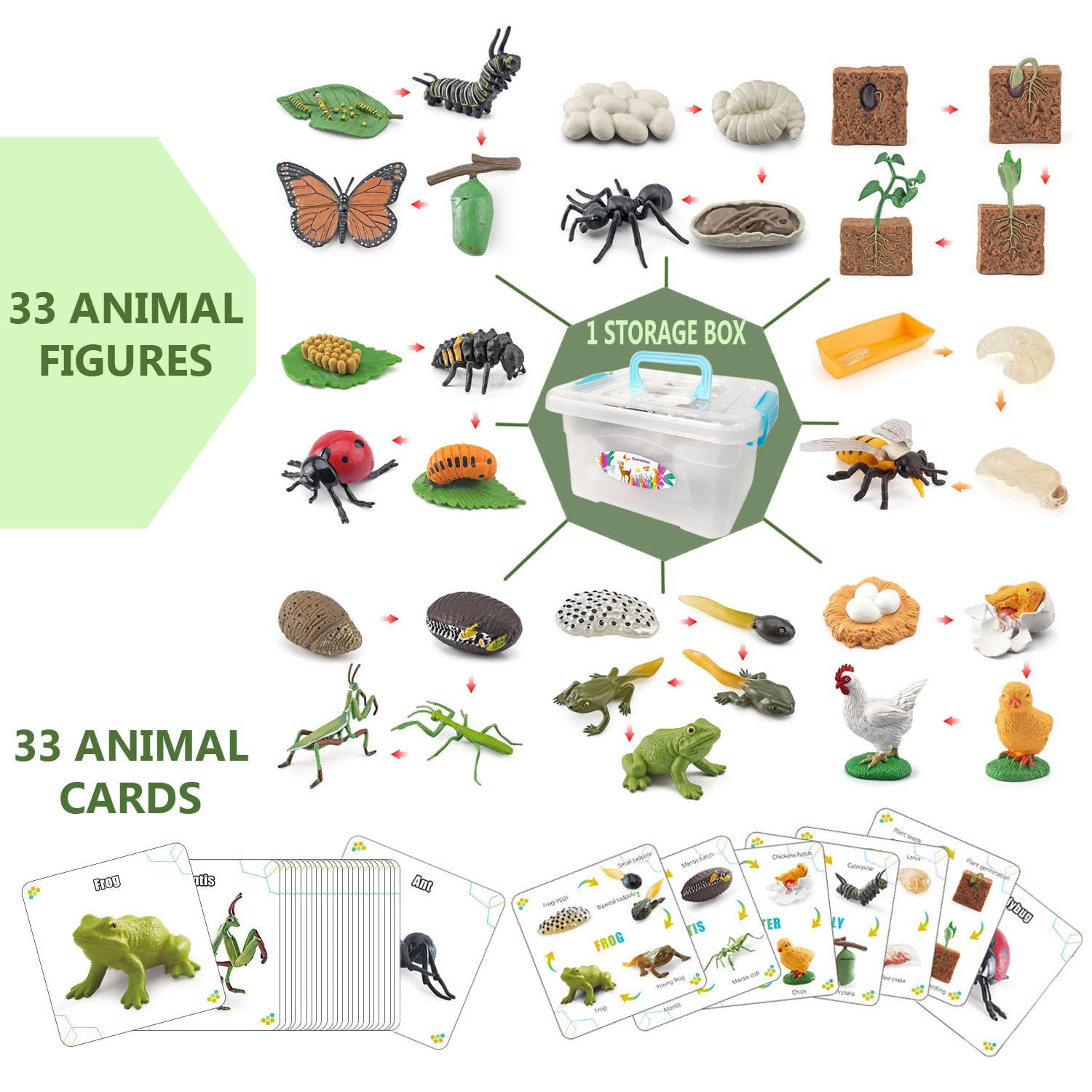 33 PCS Life Cycle Learning Toys - Educational Animal Figurines for Kids Ages 3+ | Realistic Preschool Science Toys for Boys & Girls | Perfect for Classroom, Homeschooling & Montessori Activities