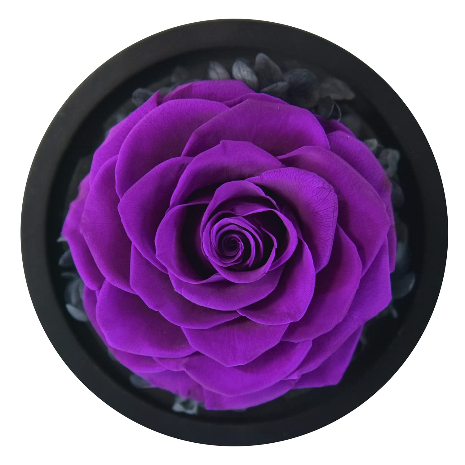 Forever Preserved Real Rose in Glass Dome - Eternal Rose Gift for Women, Birthday, Valentine's Day, Mother's Day, Christmas & Anniversary - Beautiful Heart Design Home Decor for Bedroom, Office & Wedding Centerpiece
