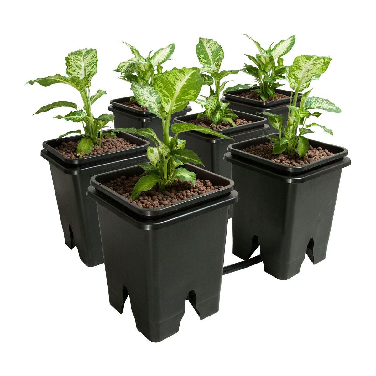 Active Aqua Grow Flow 2.0 Expansion Kit - 5 Gallon Hydroponic System for Indoor Gardening | Perfect for Home Growers & Hydroponic Enthusiasts
