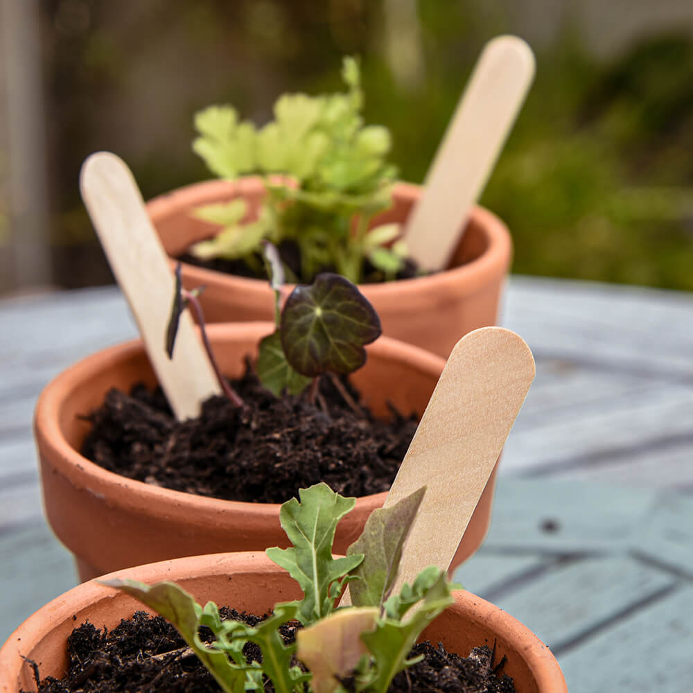 20 Pack Wooden Plant Markers for Garden Seedlings - Durable & Reusable Garden Labels for Herbs, Vegetables & Flowers - Perfect for Indoor & Outdoor Gardening