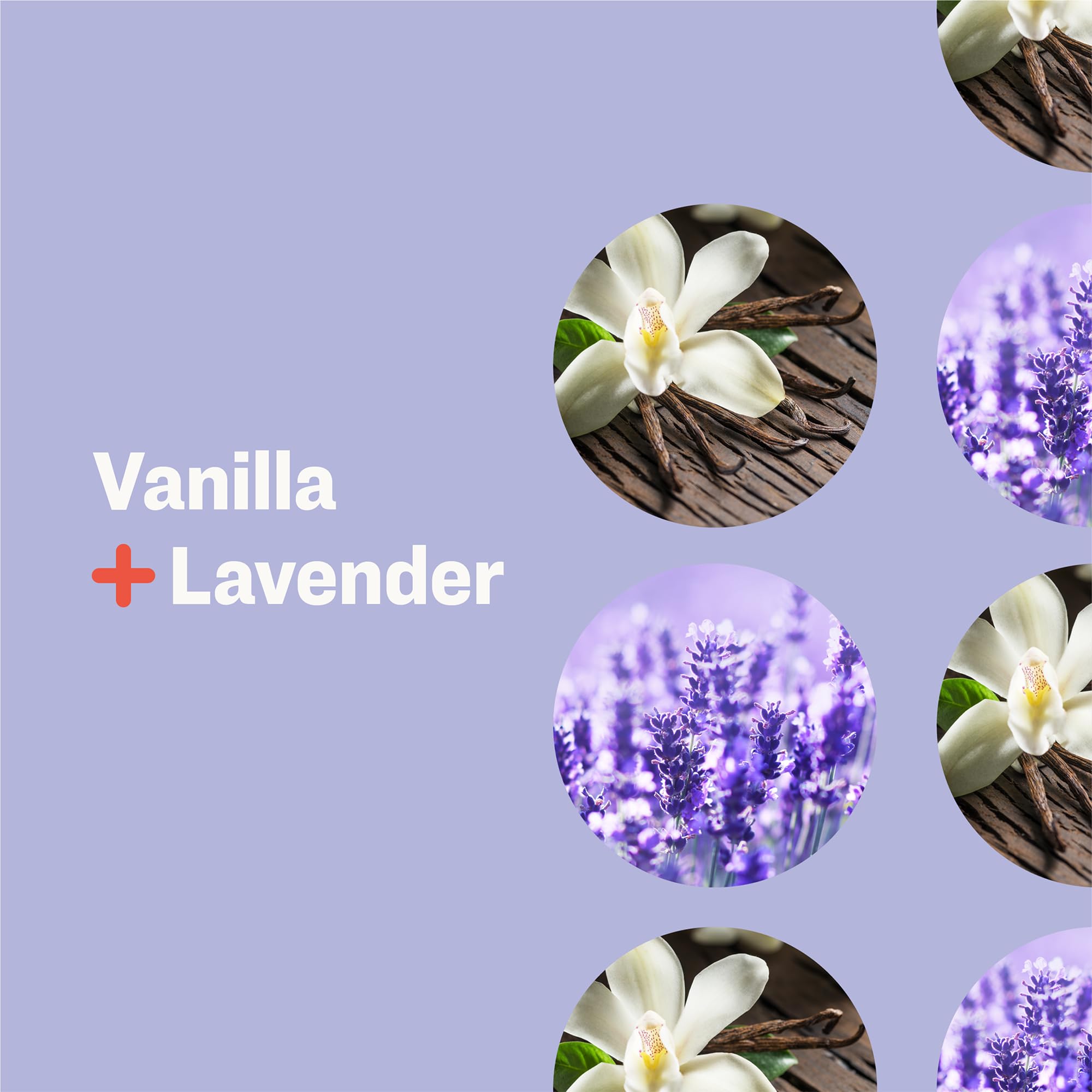 Organic Hand & Body Lotion Travel Size - 2oz Pack of 12 | Vanilla Lavender Scent | Plant-Based with Coconut Oil, Aloe Vera & Vitamin E | Moisturizing Dry Skin for Home, Office & Travel Use