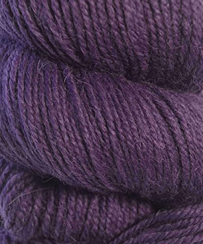 62105 Eggplant