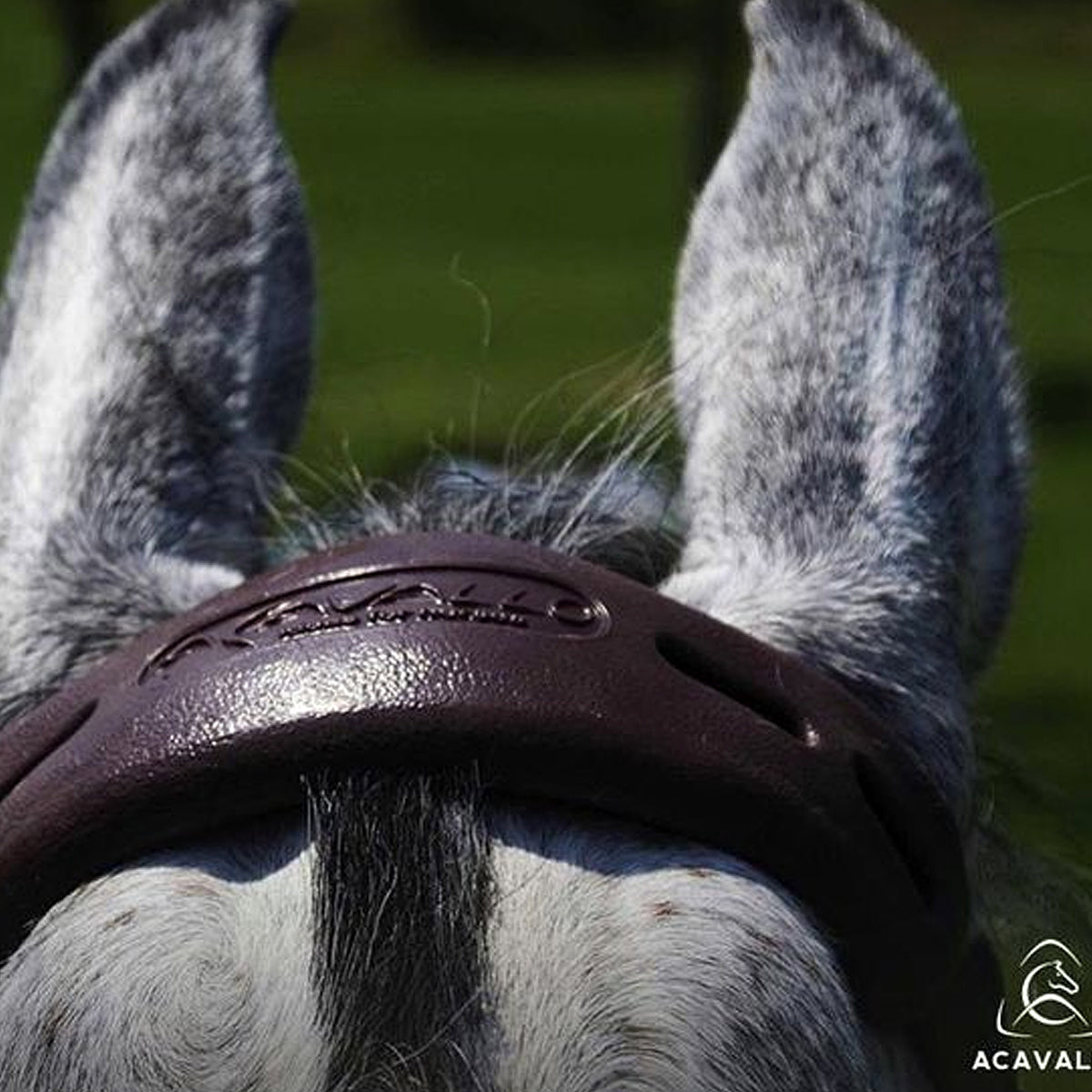 Acavallo Gel Nose & Poll Guard for Horses - Soft Protective Gear for Riding & Training - Perfect for Show Jumping, Dressage & Trail Riding