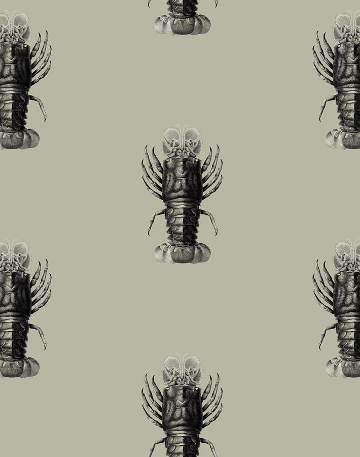 Jack The Crustacean Vintage Wallpaper by Wallshoppe - Classic Antique Design for Coastal & Nautical Home Decor