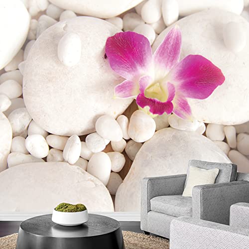 Pink Orchid Over White Rocks