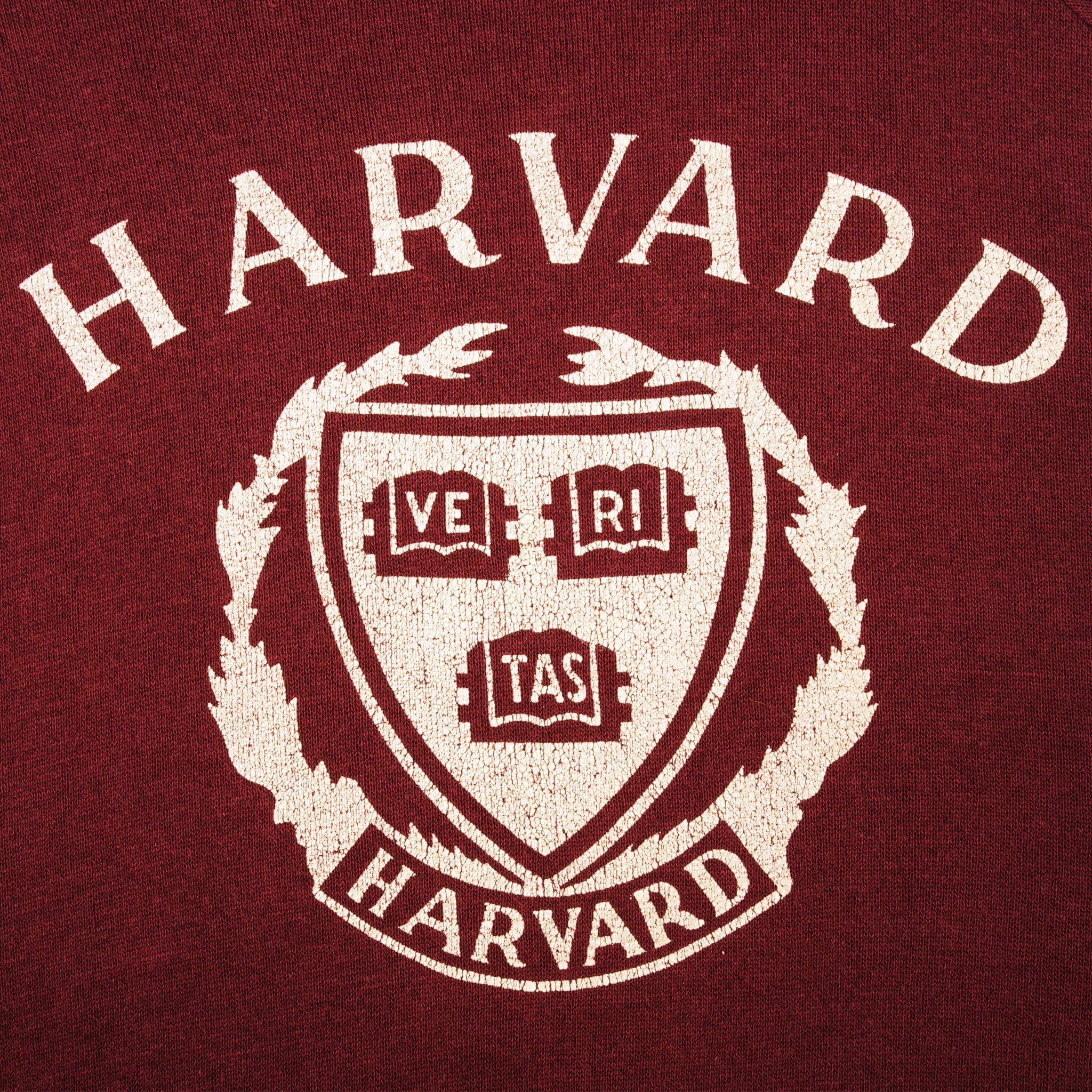 Vintage Champion Harvard University Sweatshirt 1980s Large - Made in USA - Retro College Apparel for Casual Wear & Vintage Fashion Collectors