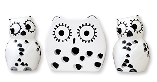 Black and White Owl